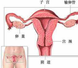 ڵô죿